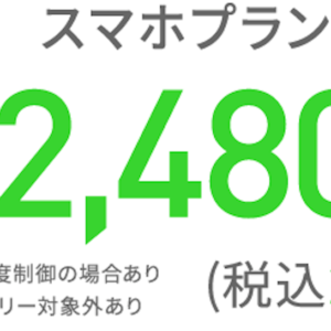 日本通信「合理的20GBプラン」をもっと合理的に活用する方法